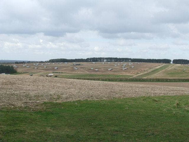 Ending Factory Farming